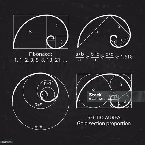 Proporção Áurea Fibonacci - Vetores de Esquema De Seção De Proporção Áurea Espiral De Fibonacci Na ...
