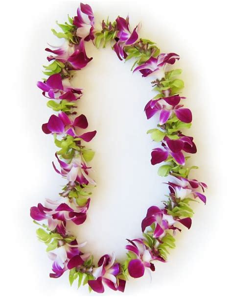 Fresh Hawaiian Orchid Leis And Loose Orchid Blooms