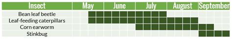 Scouting For Insect Pests North Carolina Soybeans