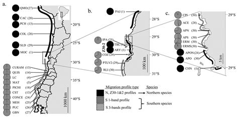 Lessonia Nigrescens Geographic Distribution Of The Northern And