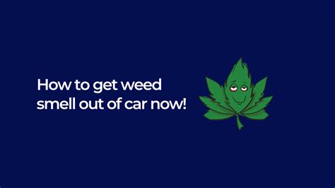 How To Get Weed Smell Out Of Car Simple Steps Ray Swanson