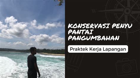 Praktek Kerja Lapangan Satuan Pelayanan Taman Pesisir Penyu Pantai