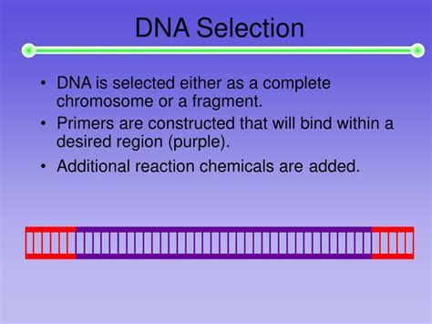 Ppt Polymerase Chain Reaction Powerpoint Presentation Free Download Id 5475587