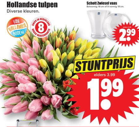 Tulpen Folder Aanbieding Bij Dirk Details