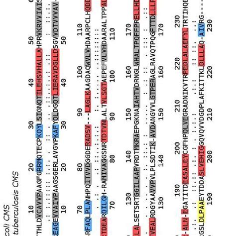 MMGBSA "per residue" decomposition showing the main residues that... | Download Table