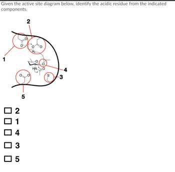 Answered: Given the active site diagram below, identify the acidic ...