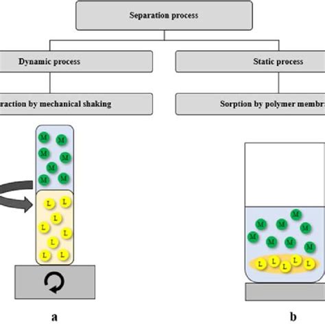 Scheme Of The Dynamic And Static Extraction Processes Where