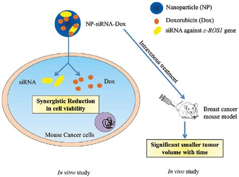 Summary Illustration Of The Findings Knockdown Of Ros1 Gene Sensitizes Download Scientific