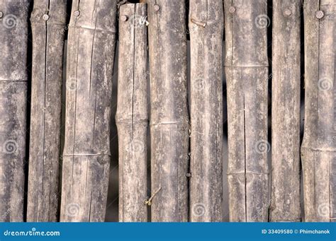 Dry Bamboo Stock Photo Image Of Piece Pattern Bamboo 33409580