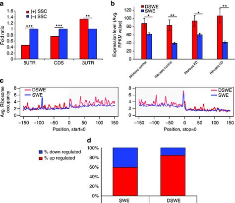 RNA Seq And Ribosome Profiling Analysis A Overlap Between Secondary