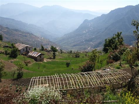 Sustainable Agriculture in Nepal - GlobalGiving