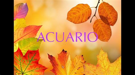 ACUARIO LECTURA SEMANAL YouTube