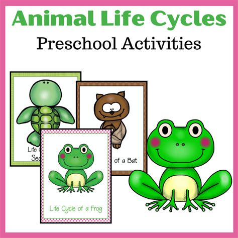 Life Cycle of Animals Printables for Preschoolers