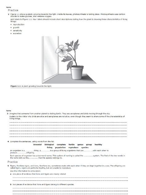 1690158413-Worksheet Characteristics of Living Things & Classification ...