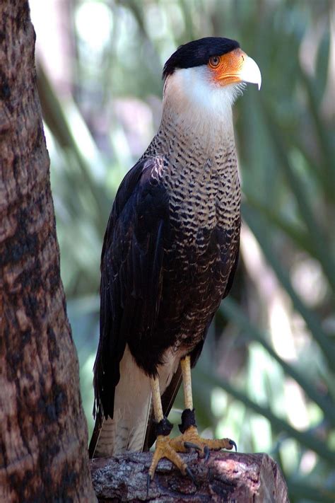 Everglades National Park