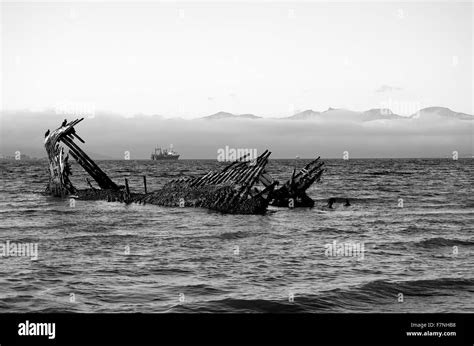 Cormorant Birds Sitting On A Wooden Ship Wreck In A Fjord With