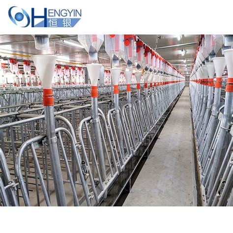 Pig Farming Equipment Pig Gestation Stall Gestation Crates For Pigs