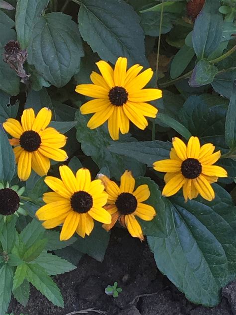 november  sain nimmt  dem workshop science  citizen