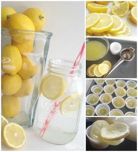 DIY Lemon Recipes | Not from Concentrate Homemade Lemon Juice!