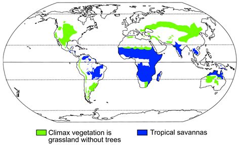 Tropical grassland ecosystems - Earth@Home: Evolution