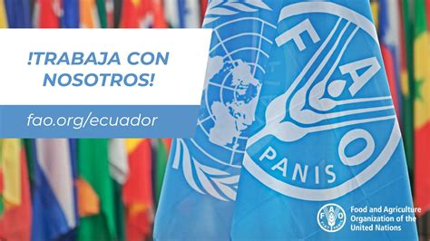 FAO Ecuador On Twitter Nuevas Vacantes Te Invitamos A Visitar