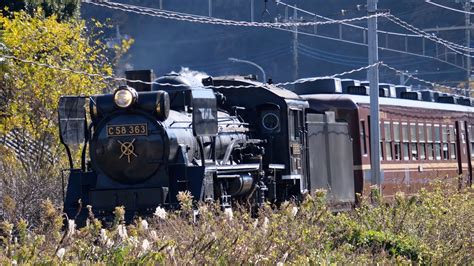 【秩父鉄道c58 363 Jnrデフ・hmなし】紅葉のslパレオ Ep2 Chichibu Railway Class C58