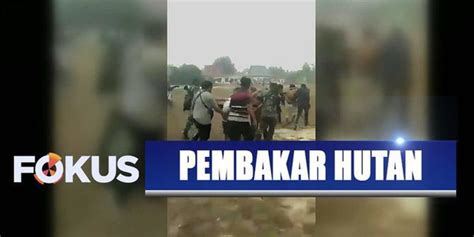 Polisi Tangkap 230 Pembakar Hutan Dan Lahan Di Kalimantan Enamplus