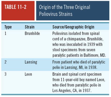 Polio Flashcards Quizlet