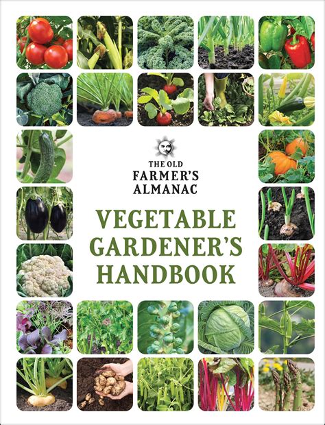 10 Best Botany Handbooks to Enhance Your Plant Knowledge – ICO Optics