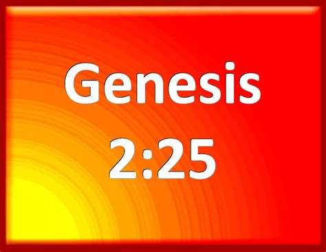 Genesis And They Were Both Naked The Man And His Wife And Were