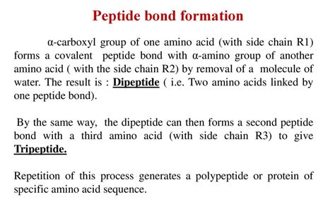 B Sc Honours Microbiology Cbcs Structure Ppt Download