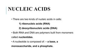 DNA and RNA types and functions | PPT