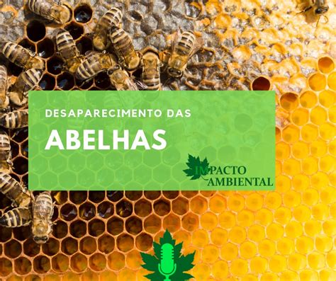 Ambientalidades Desaparecimento Das Abelhas Impacto Ambiental