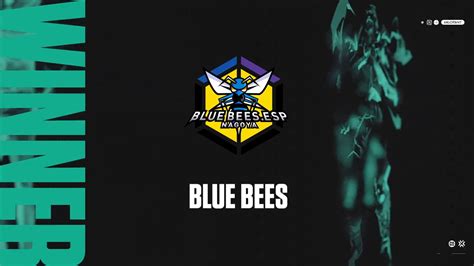 Blue Bees Vct Challengers Japan Stage Week B