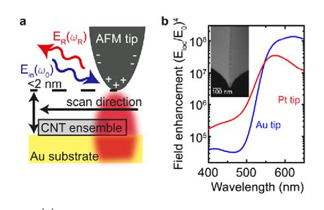 Figure 2 From Excitation Tunable Tip Enhanced Raman Spectroscopy