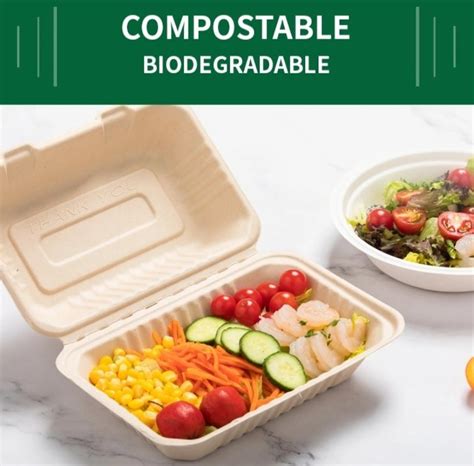 Biodegradable Compostable Clamshell Disposable Sugarcane Bagasse