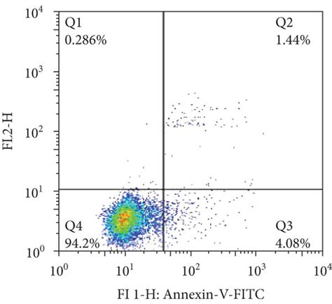 Effect Of Fk On Podocyte Apoptosis A Cellular Apoptosis Under