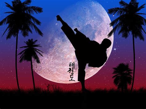 [100+] Taekwondo Wallpapers | Wallpapers.com