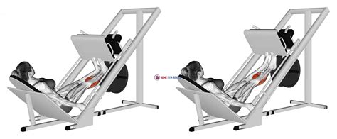 Sled Calf Press On Leg Press (female) - Home Gym Review