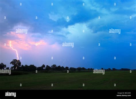 Lightning strike tree hi-res stock photography and images - Alamy