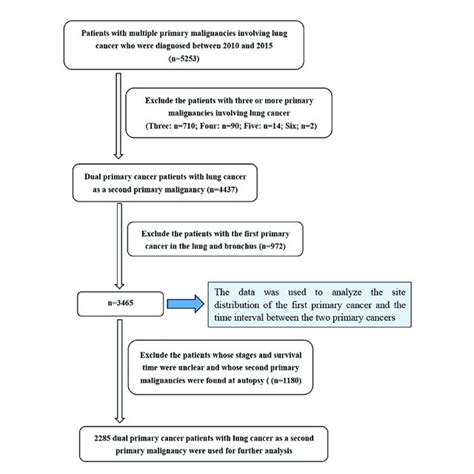 Flow Chart Detailing The Selection Of The Patients In This Study