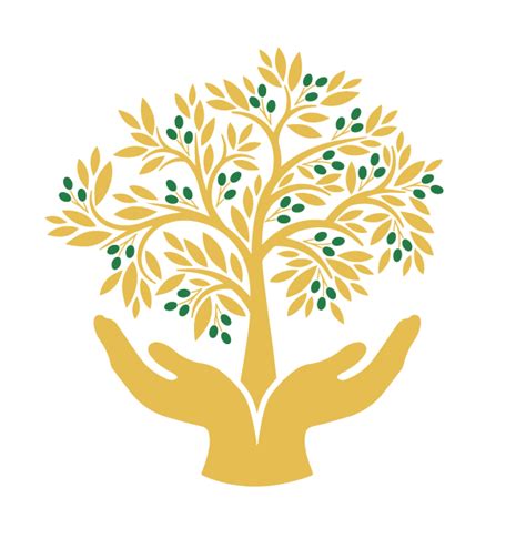 About Us Zaytuna Services Society