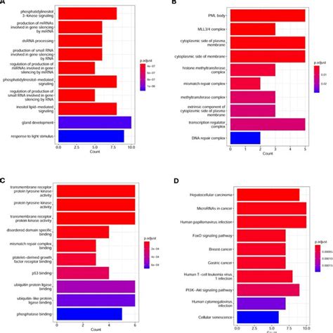 Top Enriched GO And KEGG Pathways In Lung Cancer Patients A Top10