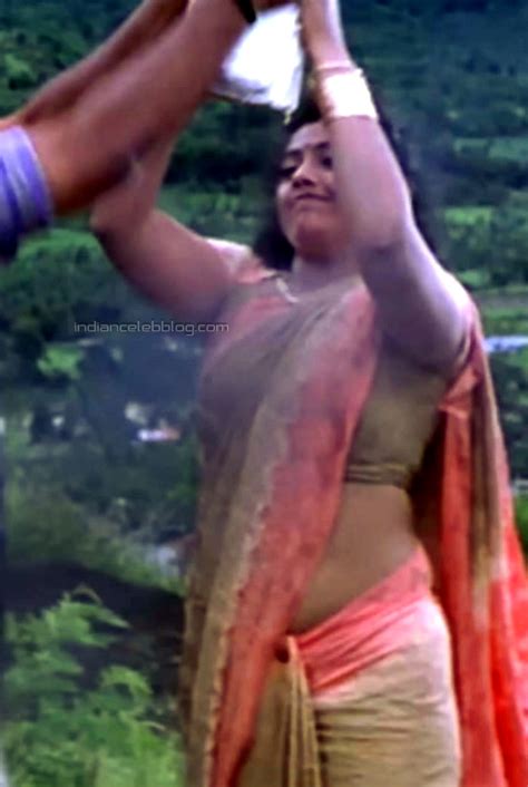 Meena Sneham Kosam Telugu 21 Hot Saree Hd Caps Indiancelebblog