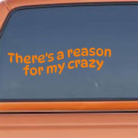 Theres A Reason For My Crazy Sassy Car Decal Sarcastic Removable