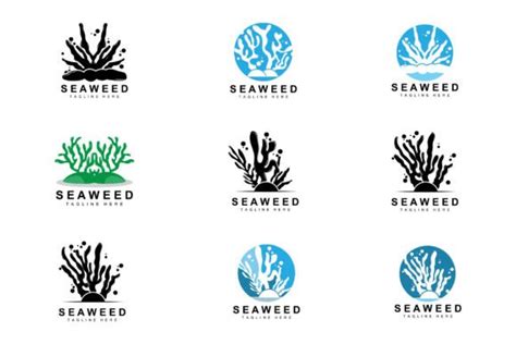 Seaweed Logo Design Underwater Plant Graphic By Ar Graphic · Creative