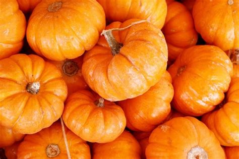 10 продуктов, которые полностью заменят антидепрессанты! / Будьте здоровы