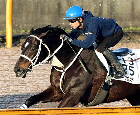 【天皇賞・春】3年連続出走のディープボンドが順調アピール 大久保調教師「はじけていました」 ライブドアニュース