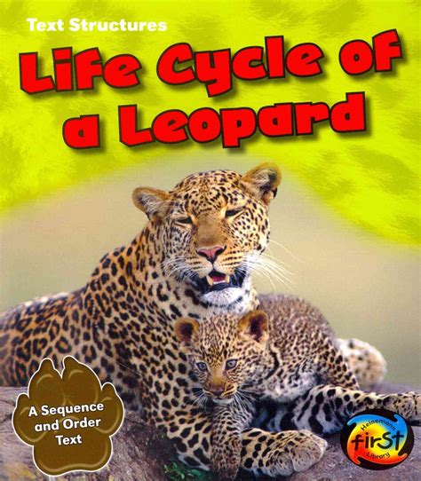 Snow Leopard Life Cycle Stages