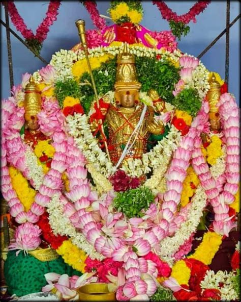 Pin By Sridhar Srinivasan On God Murugan In God